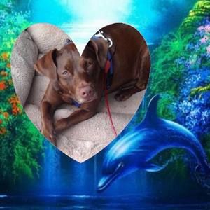 Meet your Posher, Jerrie